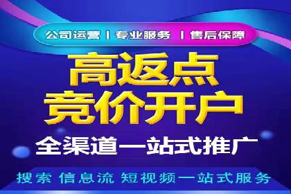 百度推广平台：提升转化率的广告策略案例
